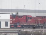 CP 8003 2